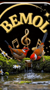 two birds are drinking water from a fountain in front of a sign that says bemol