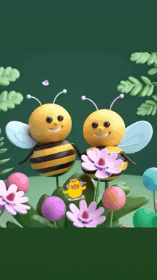 a couple of bees standing next to each other on flowers