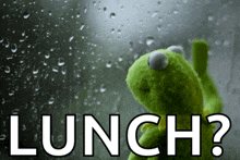 a kermit the frog is looking out a window with rain drops and the words lunch below him