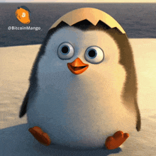 a penguin with an egg on its head is sitting on a snowy surface with a bitcoin mango logo in the background