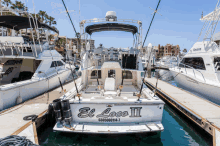 Cabo Private Boat Chárter Cabo Fishing Trip GIF - Cabo Private Boat Chárter Cabo Fishing Trip GIFs