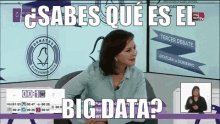 Purificacion Carpinteyro Pregunta Sobre Qué Es El Big Data GIF