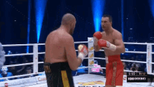 Tyson Fury Boxing GIF - Tyson Fury Boxing Fighter GIFs