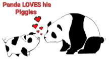 Panda Loves His Piggies GIF