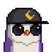 a pixel art drawing of an owl wearing sunglasses and a hat