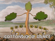 dance tree