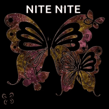 Nite Nite Goodnight GIF - Nite Nite Goodnight Butterflies GIFs