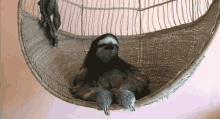 Chillin GIF - Sloth Chair Chilling GIFs