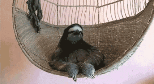 Chillin GIF Sloth Chair Chilling Discover Share GIFs