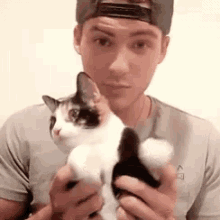 Cody Christian Cat GIF - Cody Christian Cat Cute Animal GIFs