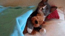 Cuddle Time GIF - Cute Kitten Hugs GIFs