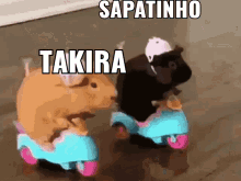 Sapatinho Takira GIF - Sapatinho Takira GIFs