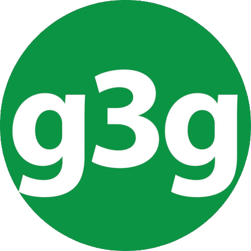 G3g Sticker - G3g Stickers