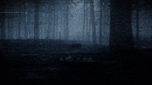 a dark background with the word exodus in white letters