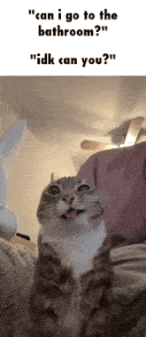 a picture of a cat with the words " can i go to the bathroom " on it