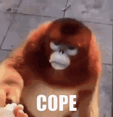 cope cope harder monke seejers monkey