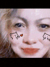 a close up of a woman 's face with cats drawn on her face