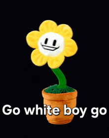 a flower in a pot with the words go white boy go