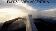 357291 argentina nariz fuerza a%C3%A9rea argentina argentino