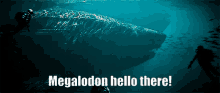 Megalod Megalodon Shark GIF - Megalod Megalodon Shark Megalodon GIFs
