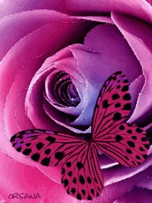 Papillon Burtterfly GIF - Papillon Burtterfly Flower GIFs
