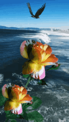 Sea Summer GIF - Sea Summer Flowers GIFs