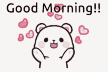 Good Morning Bear GIF - Good Morning Bear Cute GIFs