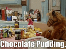 Alf Chocolate Pudding GIF - Alf Chocolate Pudding Pudding GIFs