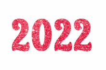 2022 year