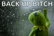 kermit the frog looking out a window with the words " back up bitch "
