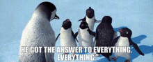 Happy Feet The Amigos GIF - Happy Feet The Amigos He Got The Answer To Everything GIFs