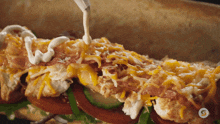 Subway Chicken Bacon And Peppercorn Ranch GIF - Subway Chicken Bacon And Peppercorn Ranch Sandwich GIFs