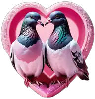 two pigeons are sitting on a pink heart shaped box