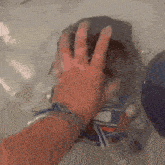 a person 's hand is reaching out to touch a turtle in the water .