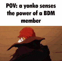 a picture of a man with the words pov : a yonko senses the power of a bdm member on it