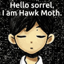 Hawkmoth Sorrel GIF - Hawkmoth Sorrel GIFs