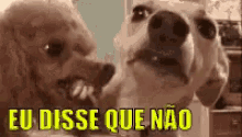 Cuzão Eita Medo GIF - Asshole Afraid Dog GIFs