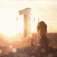a lion and a lion cub are looking at the sun