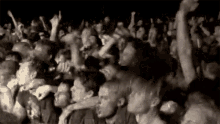 Fans Rage Against The Machine GIF