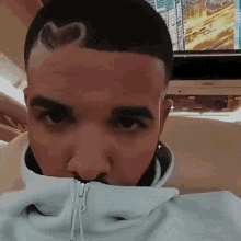 Seelngreen Drake GIF - Seelngreen Drake GIFs