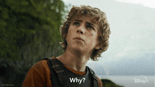 Why Percy Jackson GIF - Why Percy Jackson Percy Jackson And The Olympians GIFs