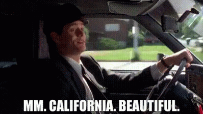 dumbanddumber-dumb.gif