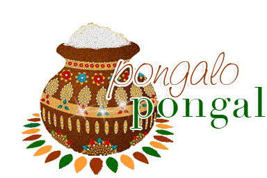 Pongal Sticker - Pongal Stickers