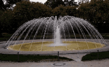 Fountain Sprinkle GIF