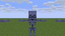 Minecraft Skeleton Mine Imator GIF