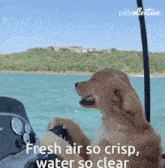 a dog on a boat with the words fresh air so crisp water so clear on the bottom