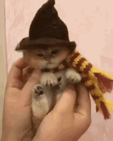 Halloween Kitty GIF