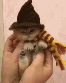 GIF