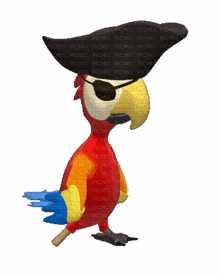 parrot pirate