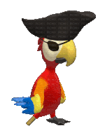 Parrot Pirate Sticker